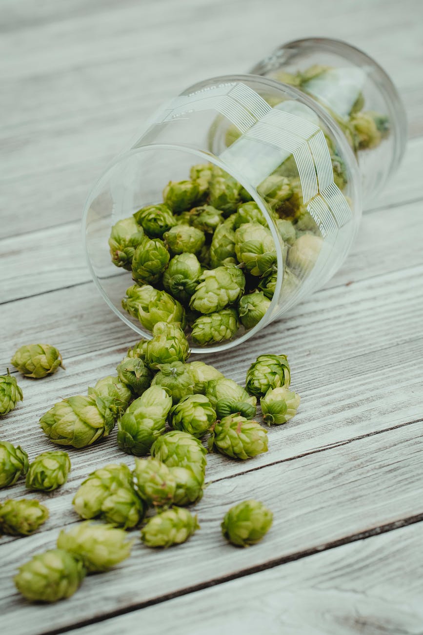 Hoppy or Bitter: What To&nbsp;Know